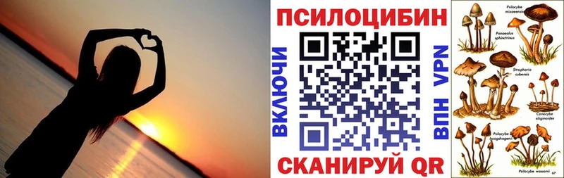 Купить  Усть-Илимск  Галлюциногенные грибы мухоморы 